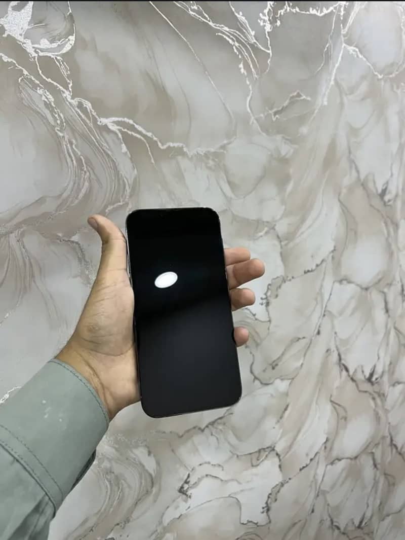 Apple iPhone 13 Pro Max 1