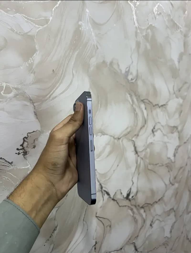 Apple iPhone 13 Pro Max 2