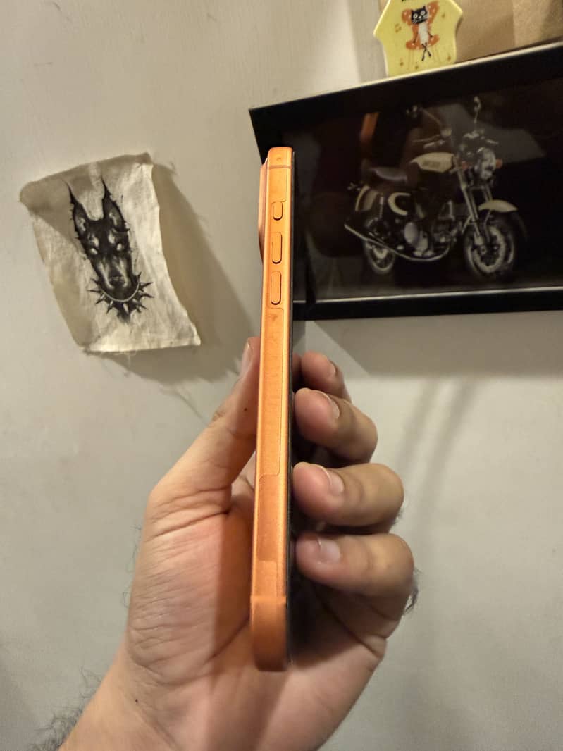 Apple iPhone 17 Pro Max 3