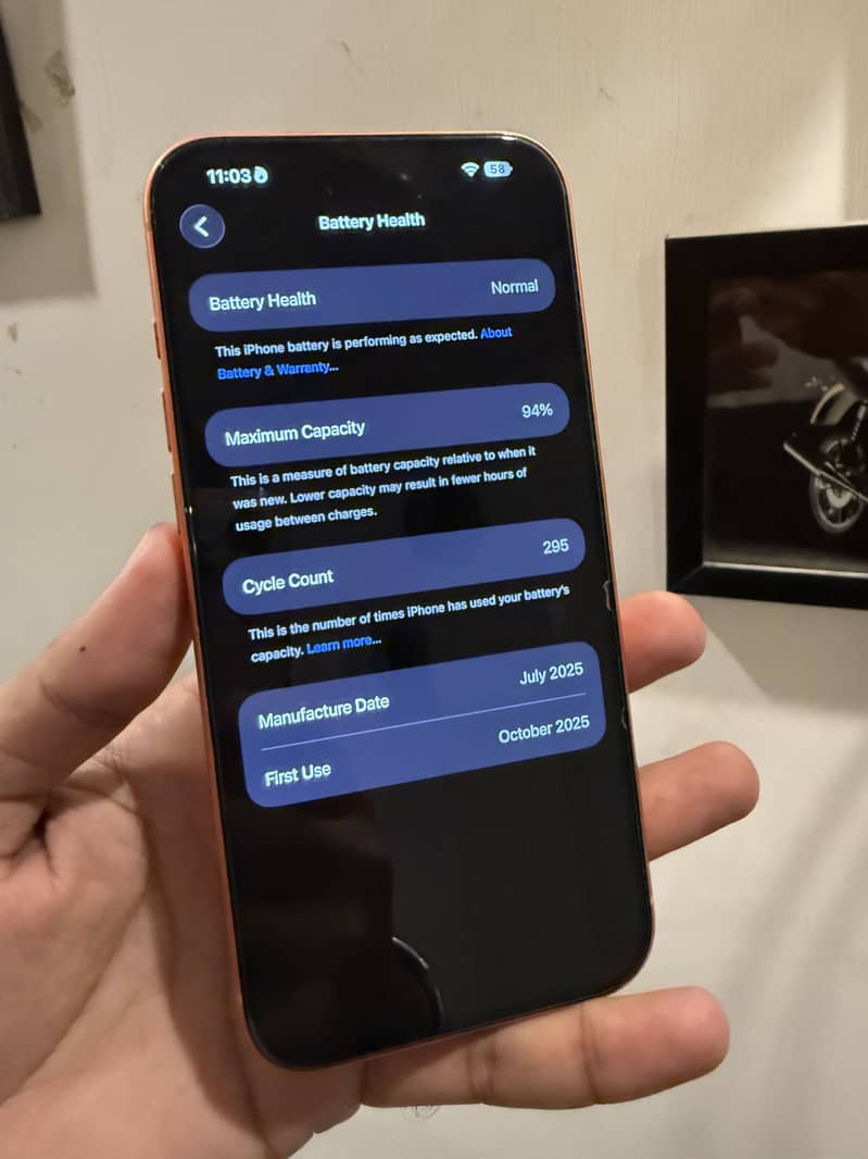 Apple iPhone 17 Pro Max 5