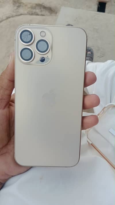 Apple iPhone 13 Pro Max