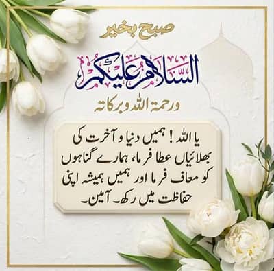امریکن وائٹ ۔03336861390
