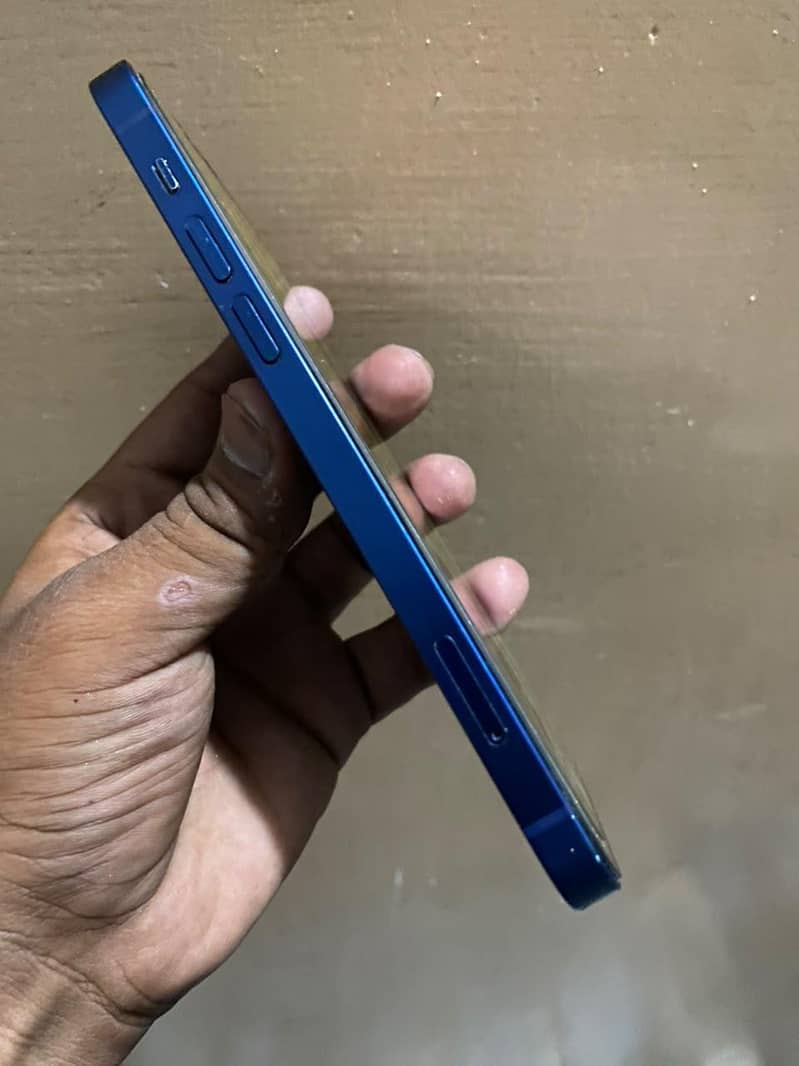 Apple iPhone 12 1