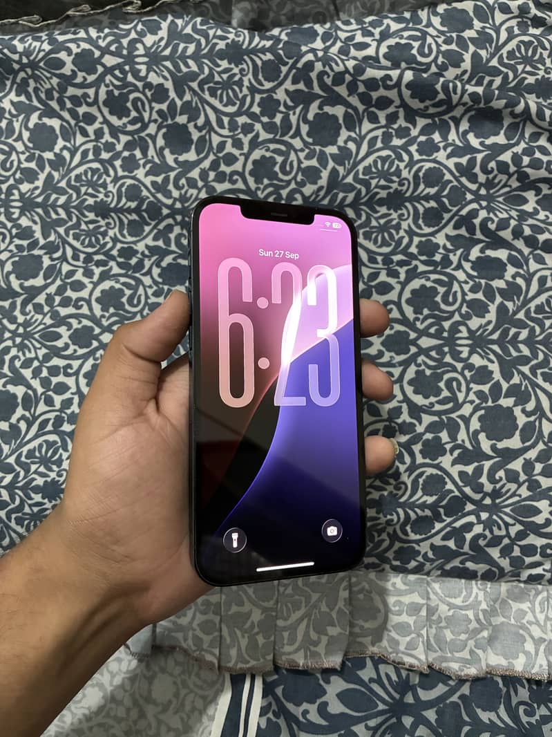 Apple iPhone 12 Pro Max 1