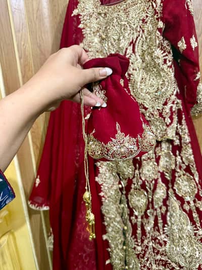 1  day use  lehnga