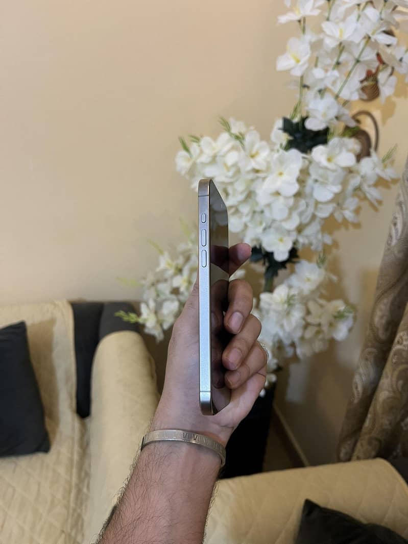 Apple iPhone 15 Pro Max 1