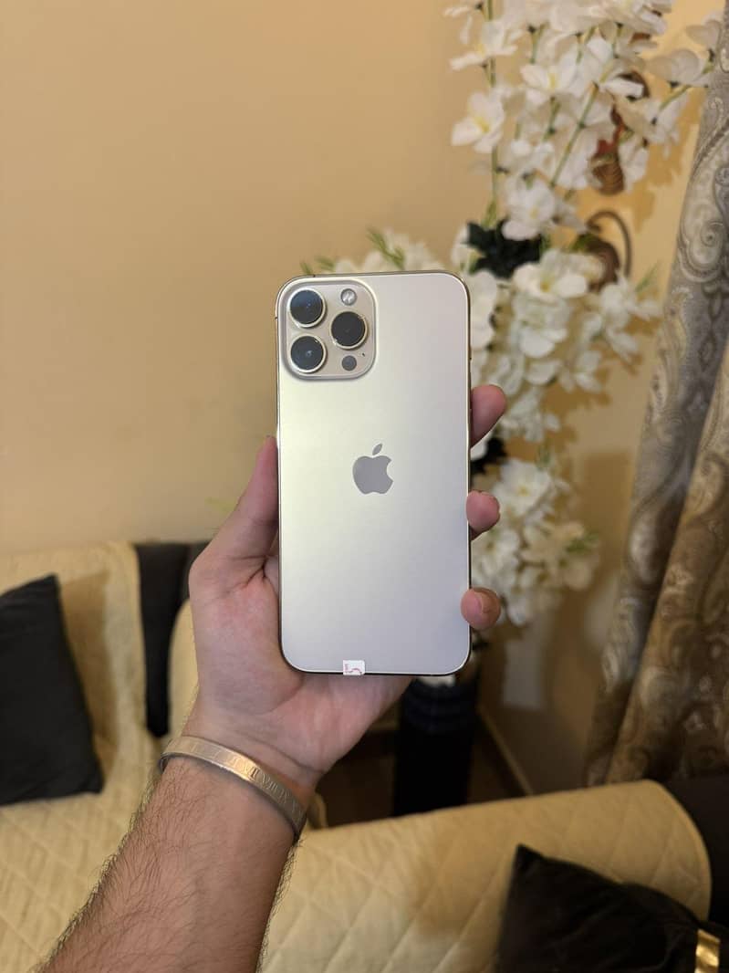 Apple iPhone 13 Pro Max 0
