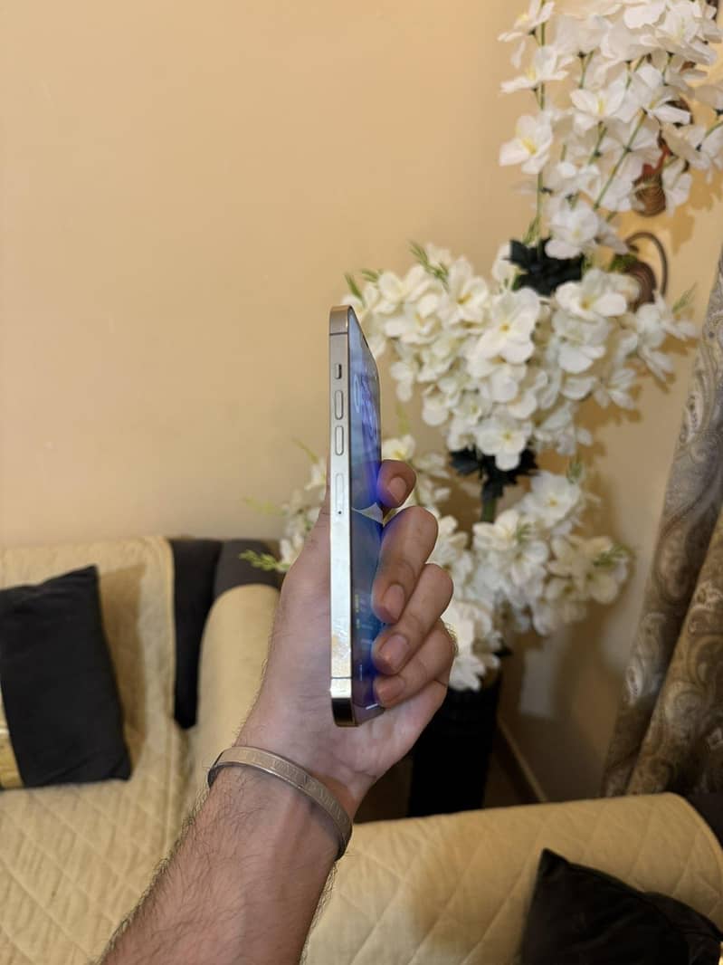 Apple iPhone 13 Pro Max 1