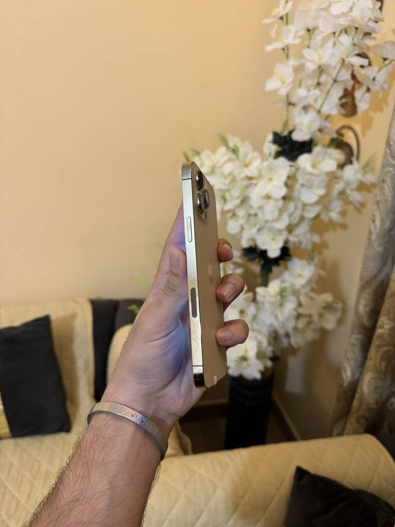Apple iPhone 13 Pro Max 2