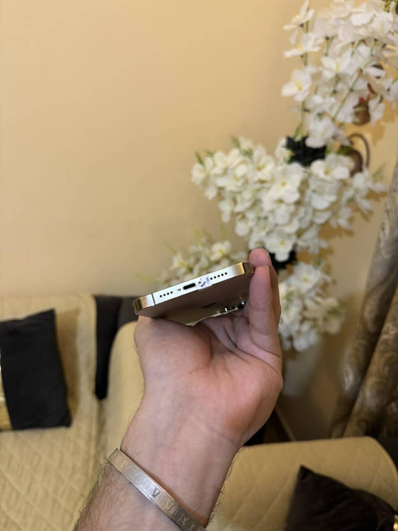 Apple iPhone 13 Pro Max 4