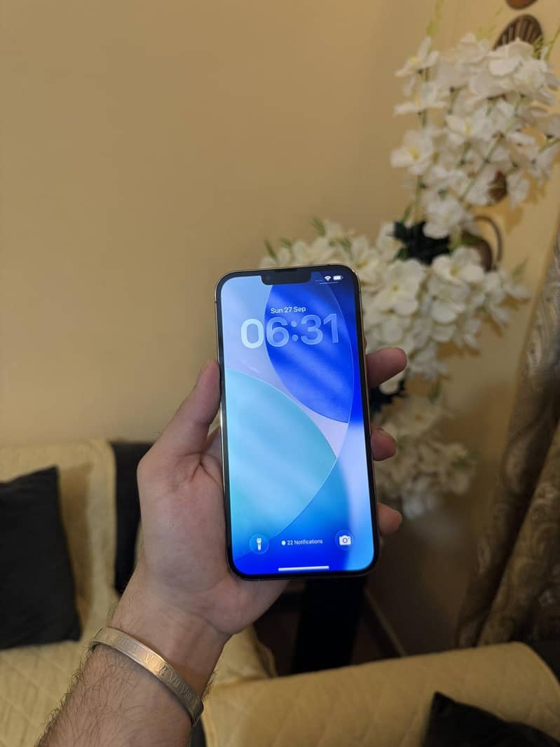 Apple iPhone 13 Pro Max 5