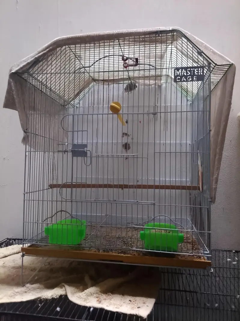 cages for sale and matkii — photo 2