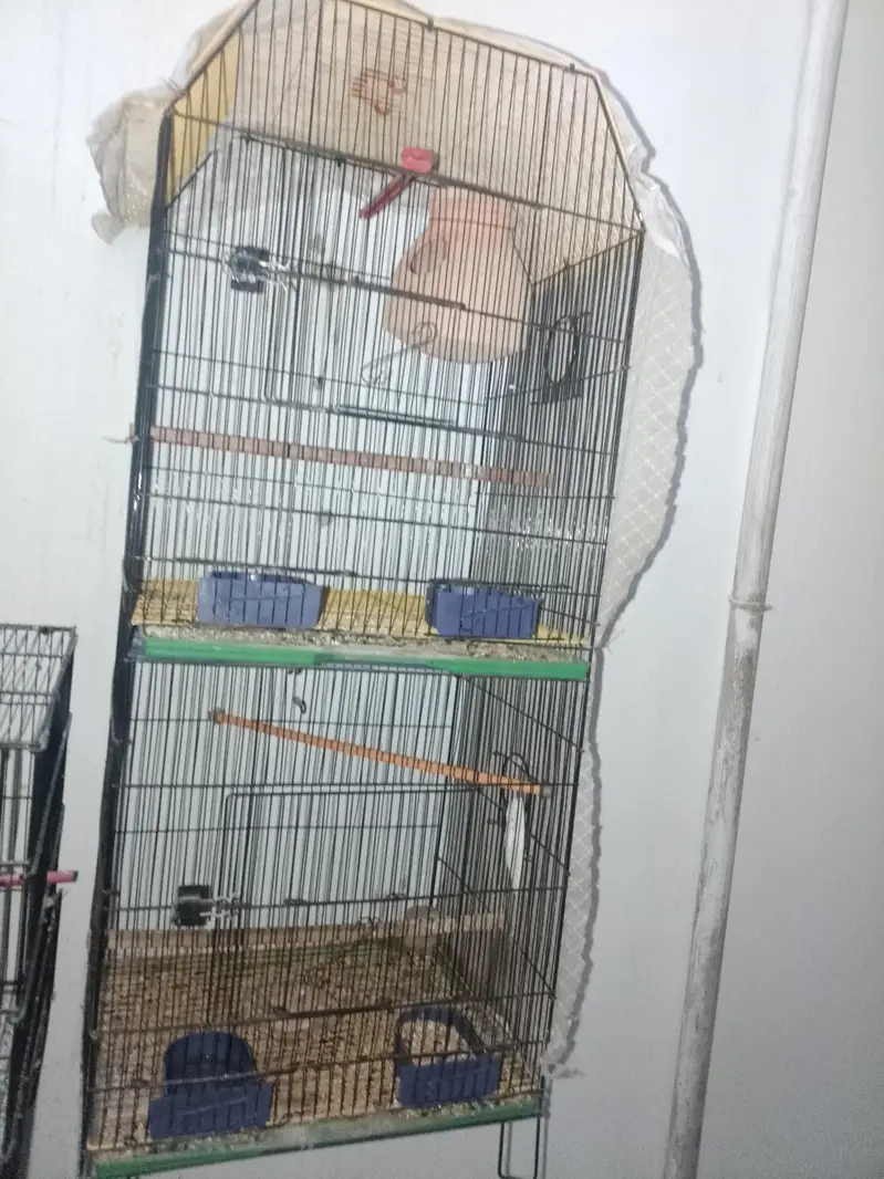 cages for sale and matkii — photo 3