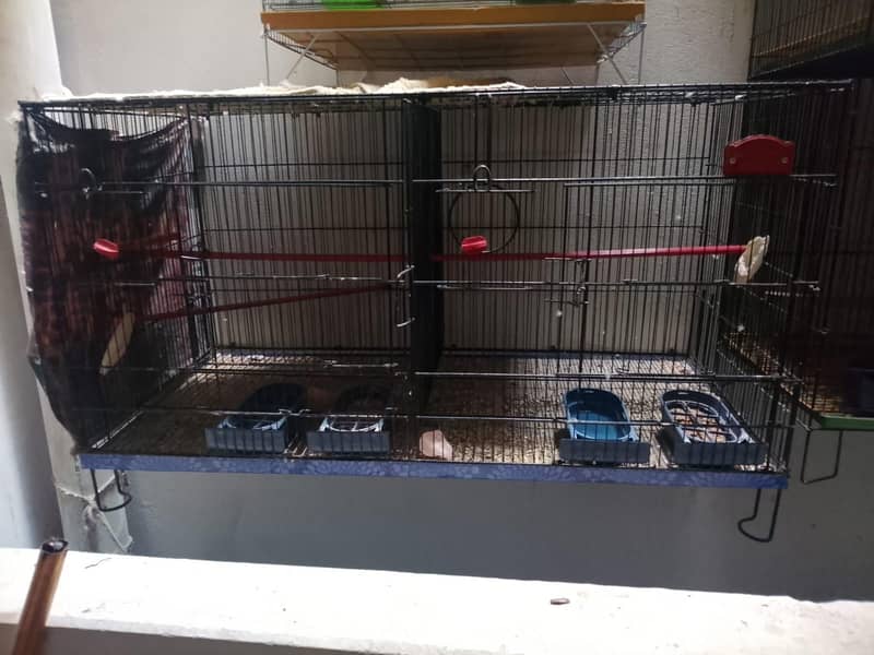 cages and matki - Hen Cages - 1119792656