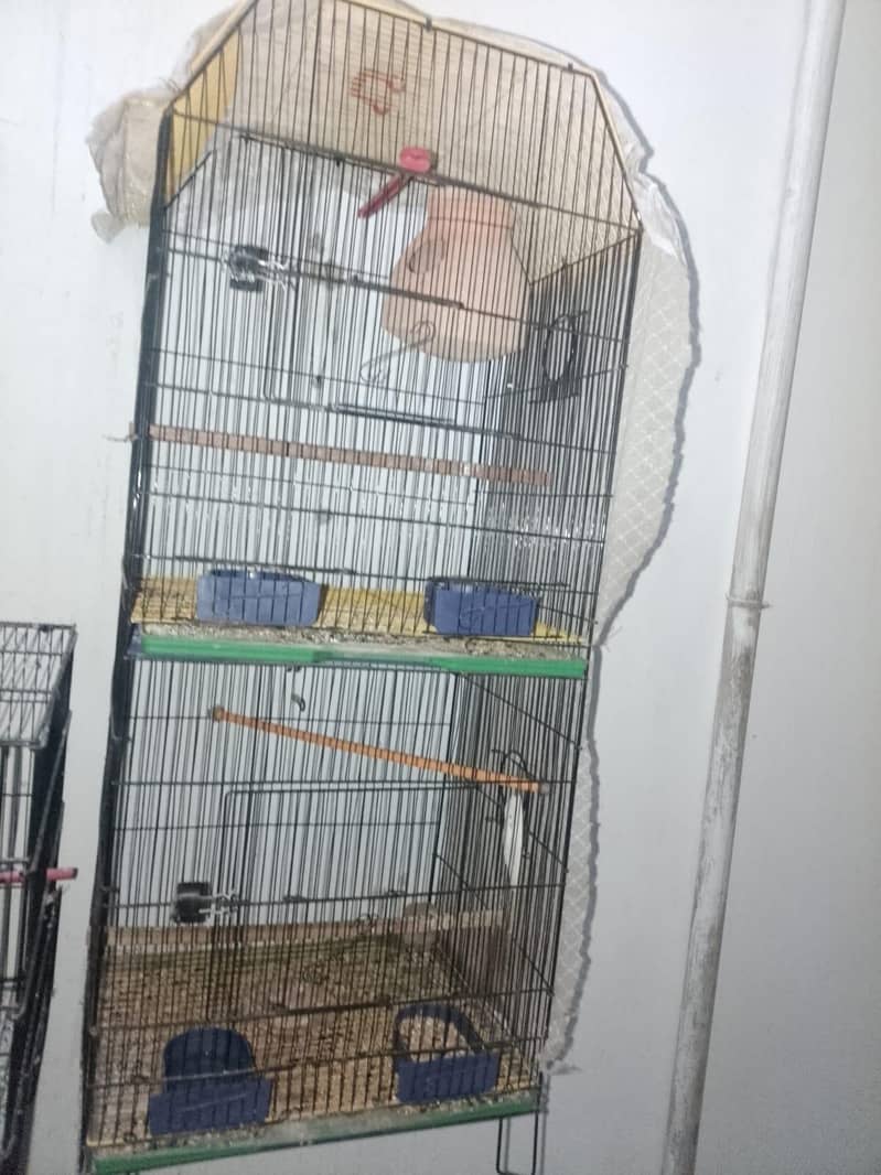 cages and matki - Hen Cages - 1119792656