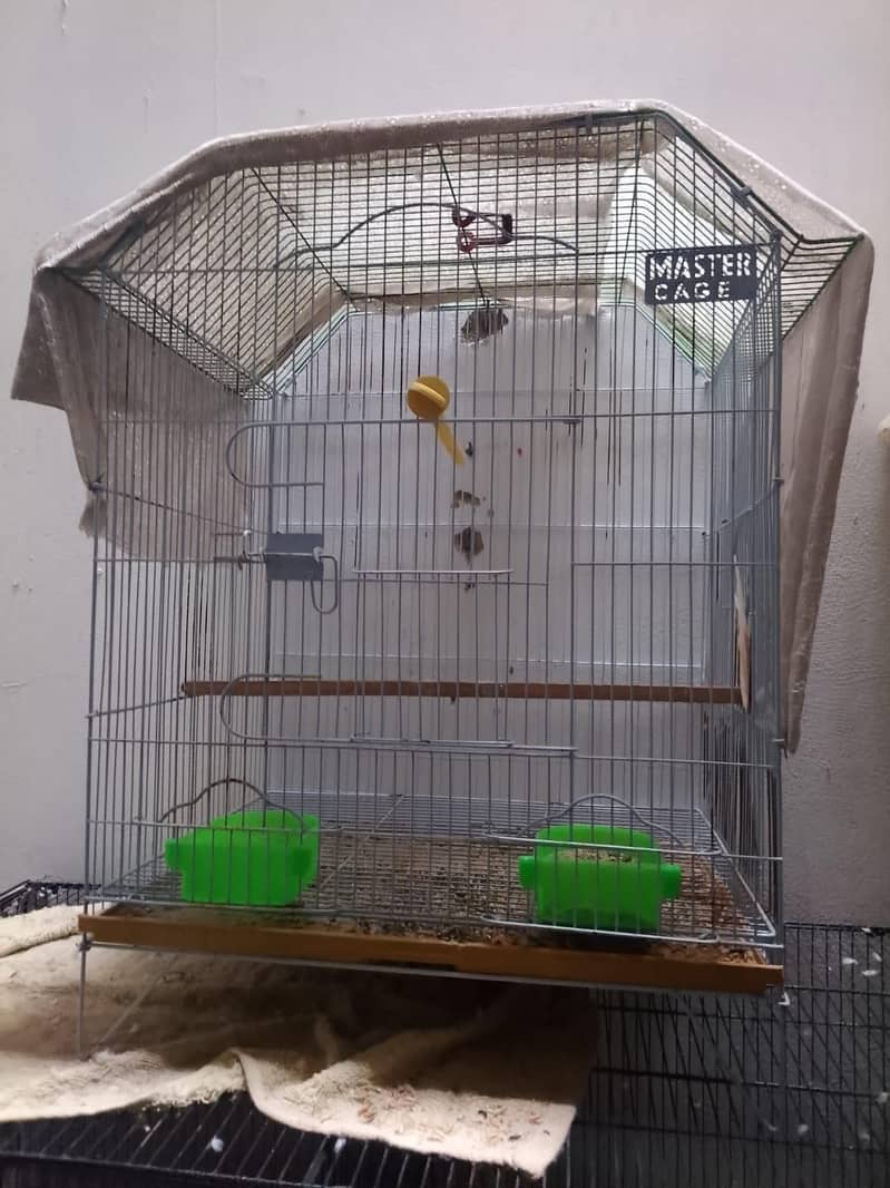 cages and matki - Hen Cages - 1119792656