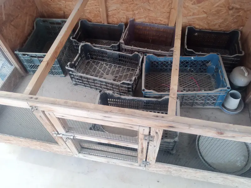 Wooden Cage For Sale — photo 2