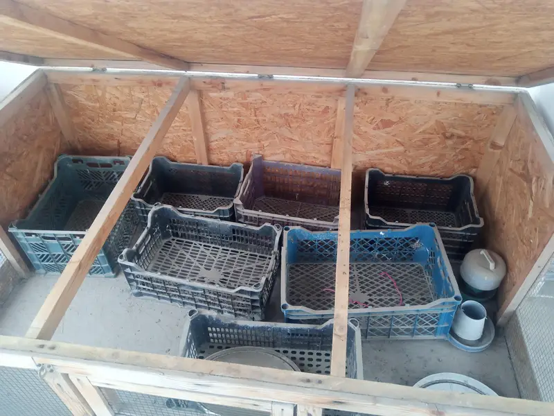 Wooden Cage For Sale — photo 3
