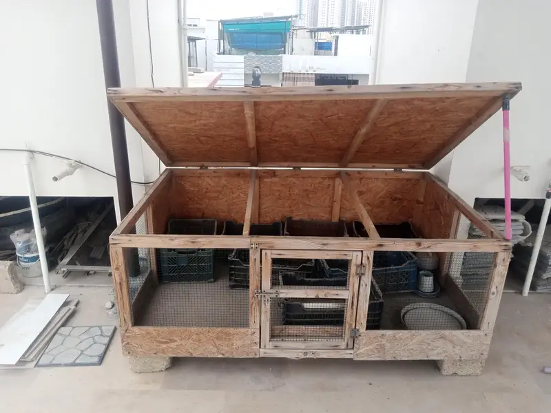 Wooden Cage For Sale — photo 4