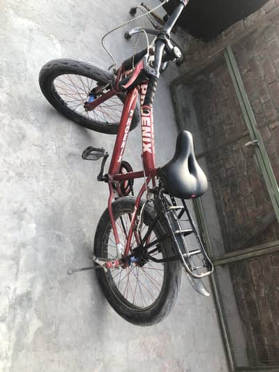 Phoenix bicycle 10-15 years kids