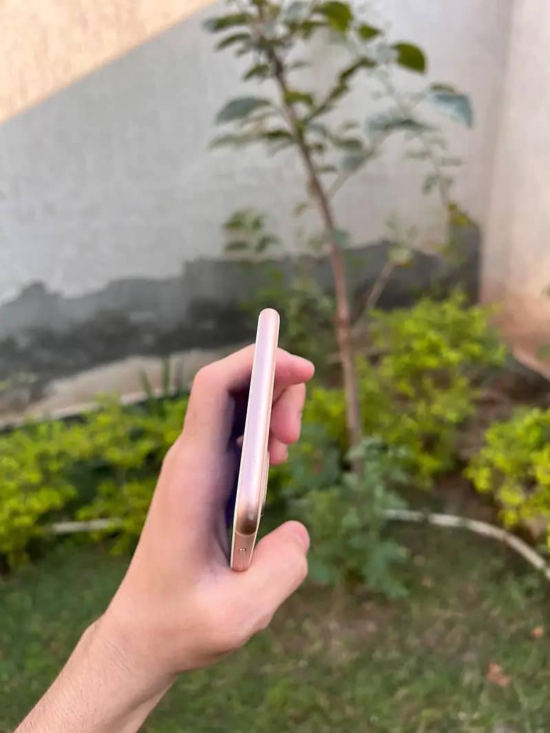 Apple iPhone 8 Plus 3