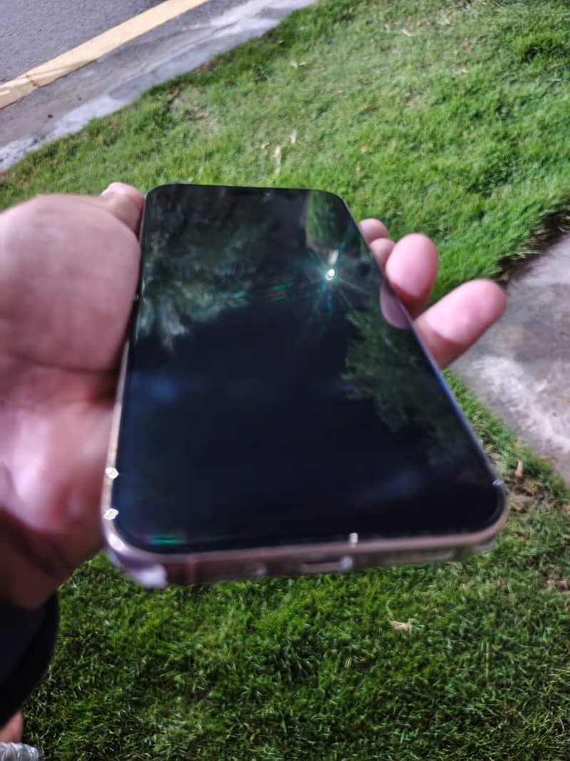 Apple iPhone 16 Pro Max 2