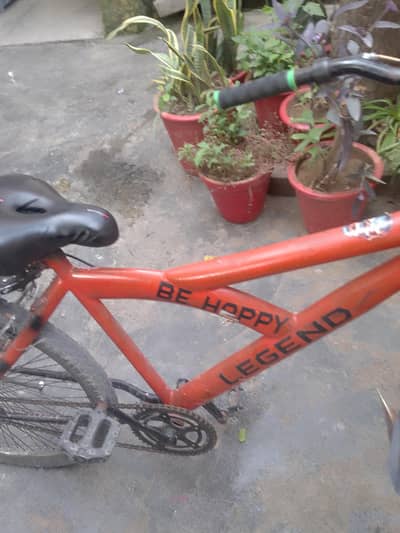 Be Happy Legend bicycle for sell zabardaast babamast