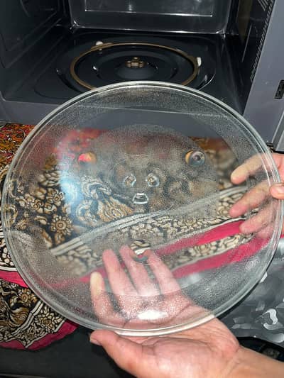 microwave oven