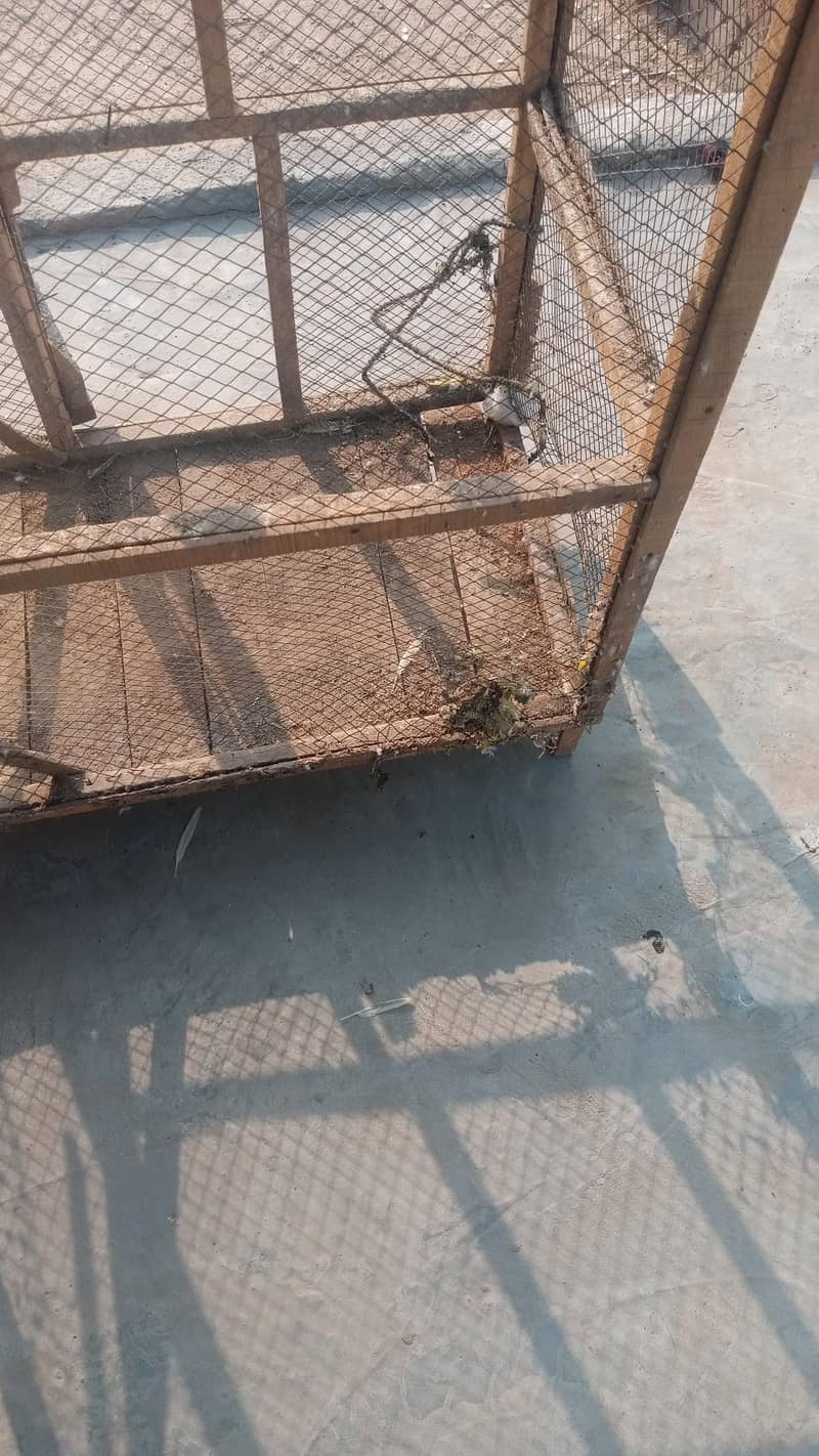 panjraa 3