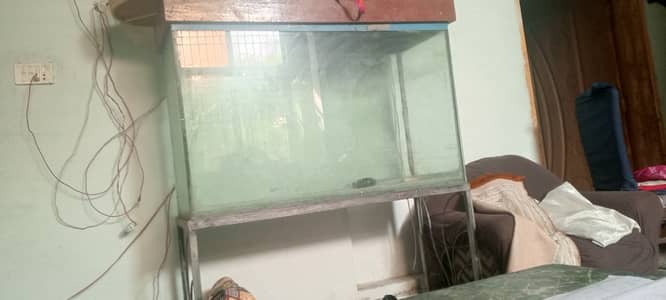 Aquarium big