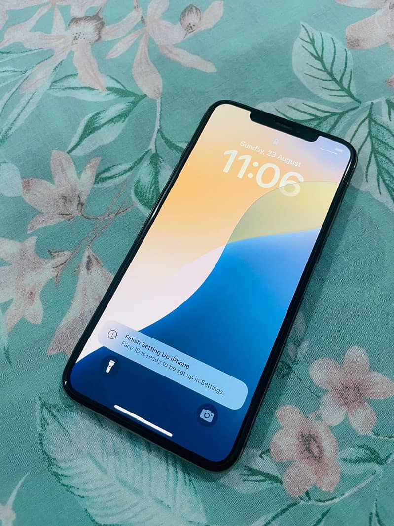 Apple iPhone XS Max 0