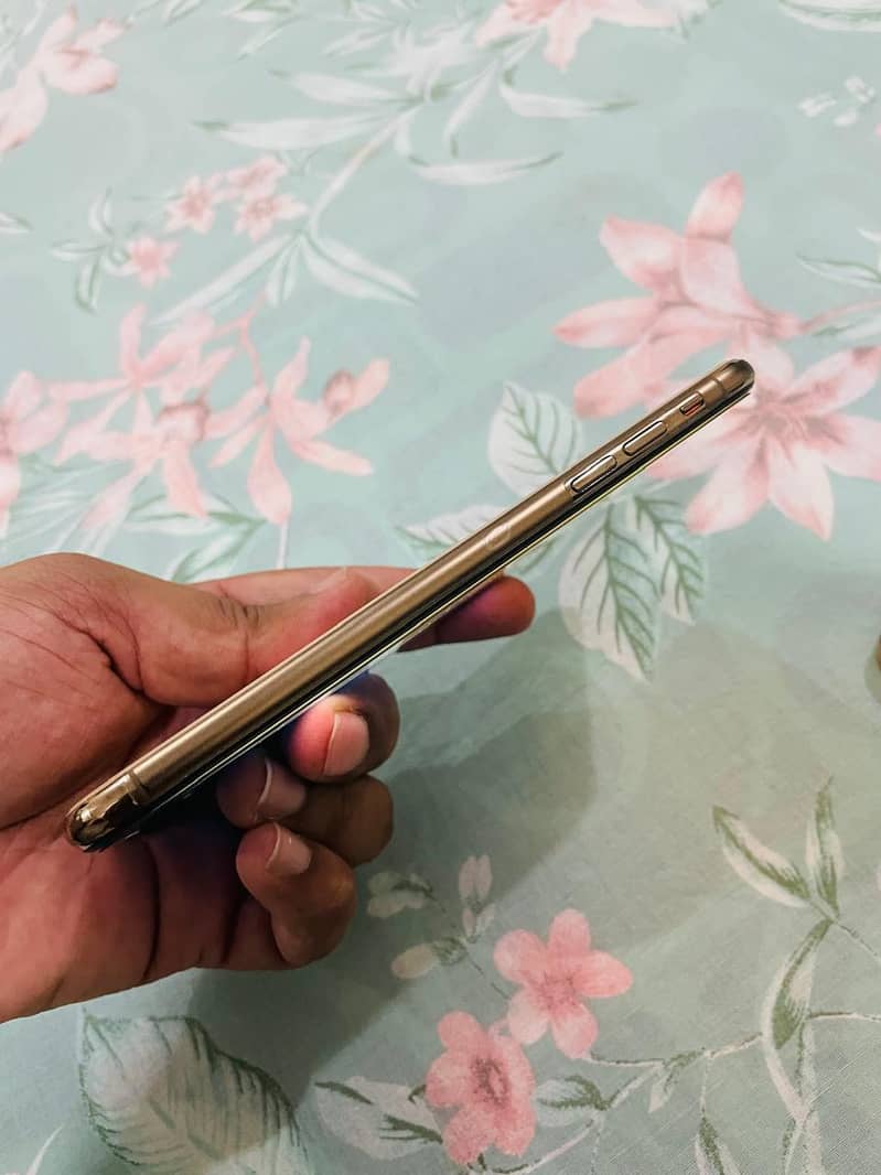 Apple iPhone XS Max 1
