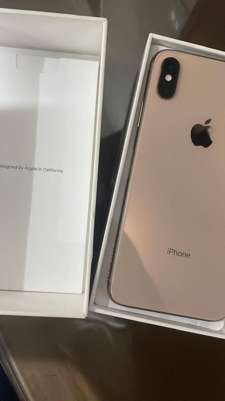 Apple iPhone XS Max 2