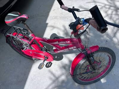 Roman cycle