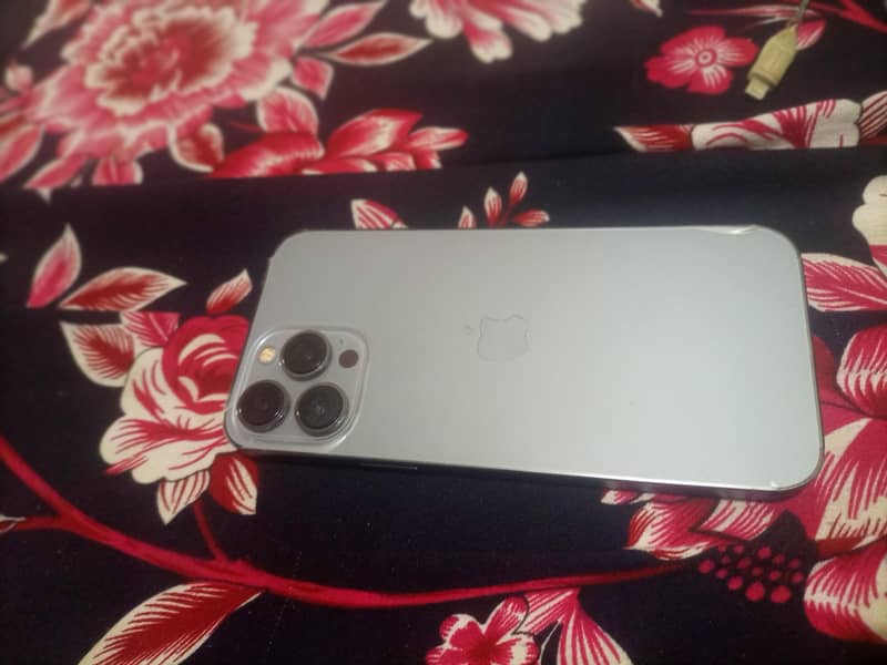 Apple iPhone 13 Pro Max 2