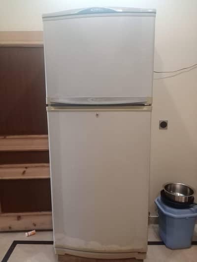 Waves Jumbo Size Refrigerator
