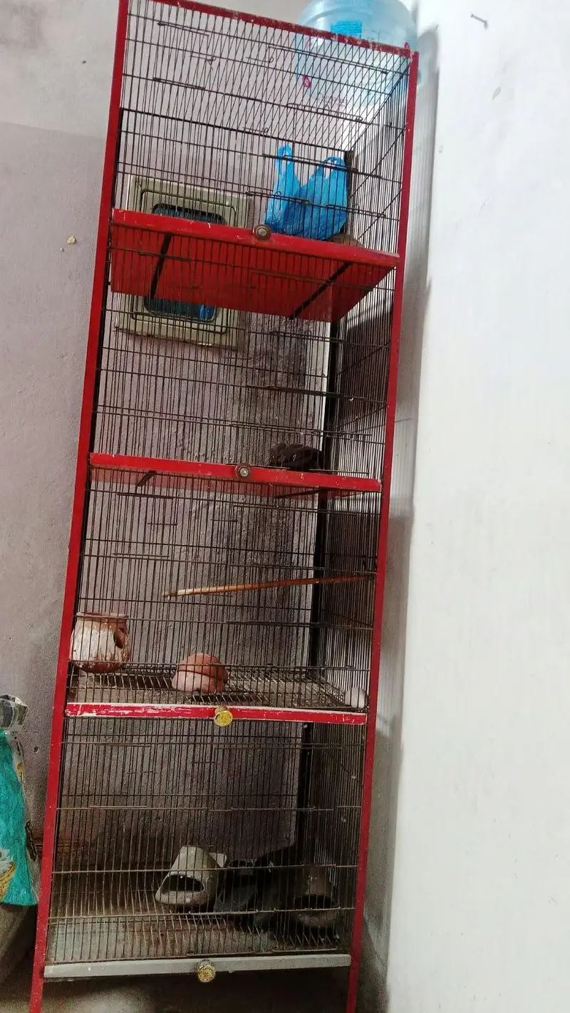 selling 4 step steel cage — photo 2