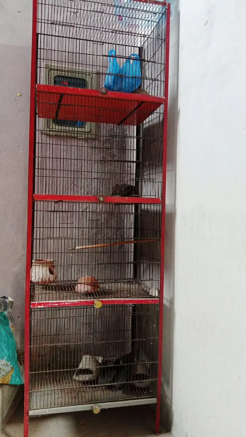selling 4 step steel cage — photo 3