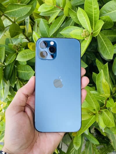 Apple iPhone 12 Pro 256gb pta