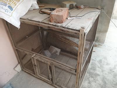 birds carage