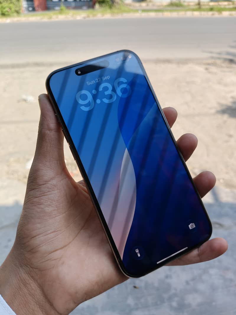 Apple iPhone 16 Pro Max 1