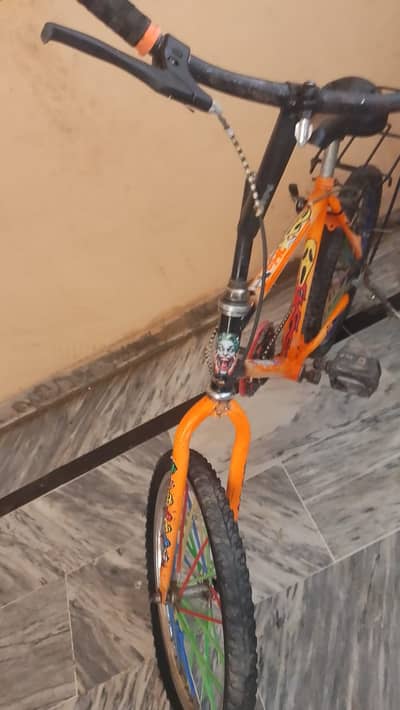 Phoenix Brand Bicycle  For Sale - Neat & Clean Condition