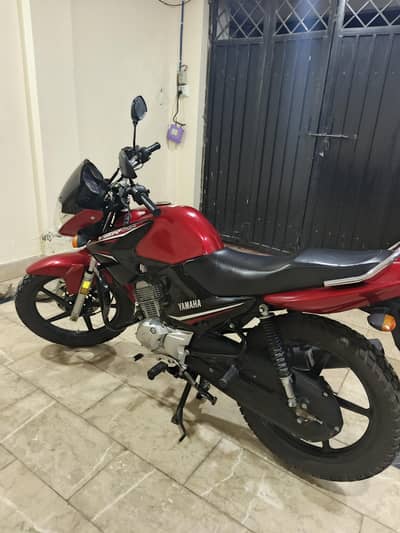 YAMAHA | YBR 125 | 2024/2025