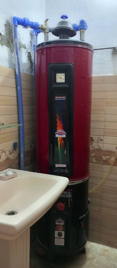 PUMA 35 Gallon Gas Geyser