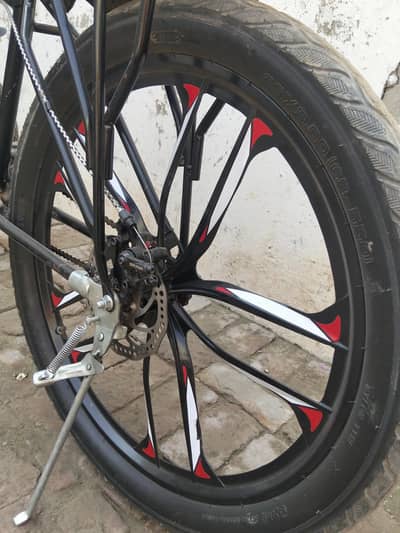 Focus bicycle importad and frame local