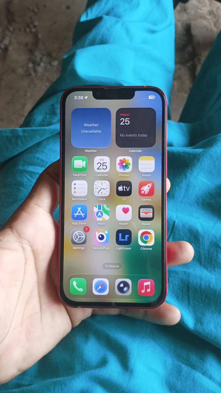 Apple iPhone 13 3