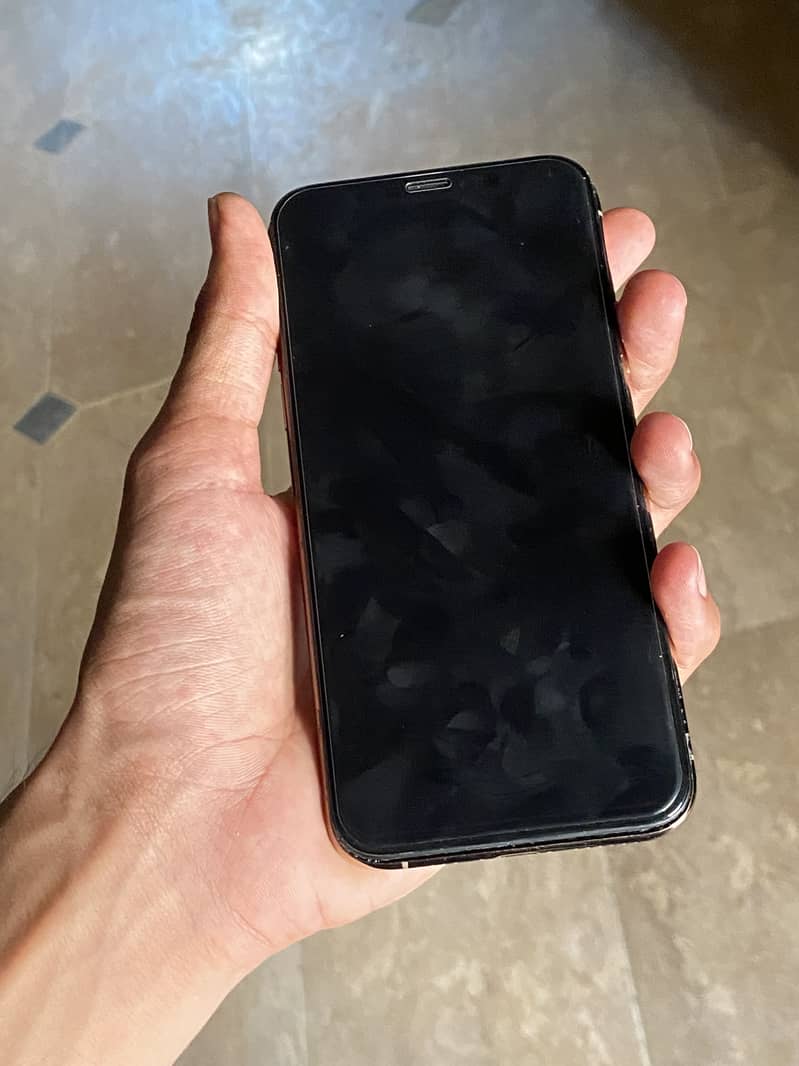 Apple iPhone XS 1