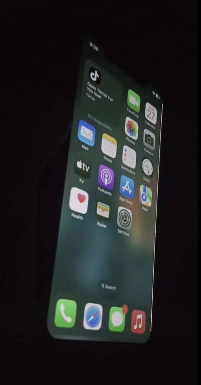 Apple iPhone X