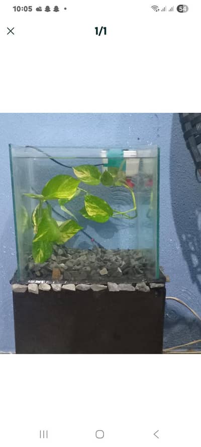 aquarium with table