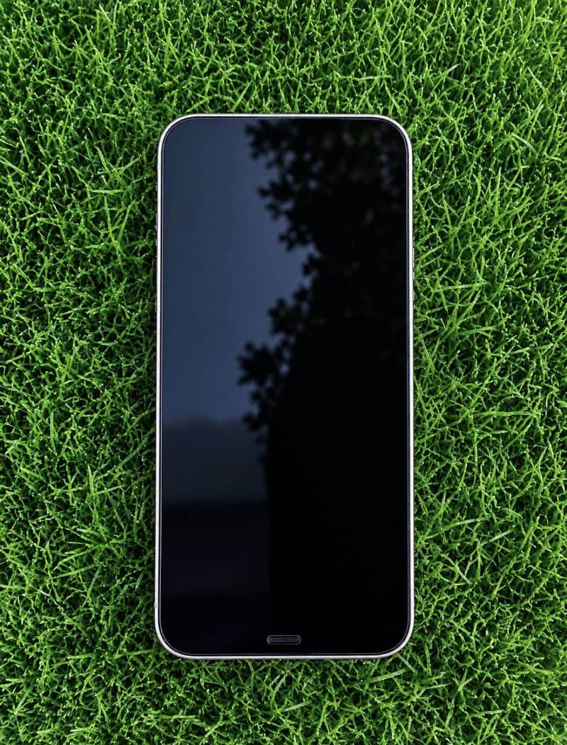 Apple iPhone 12 2